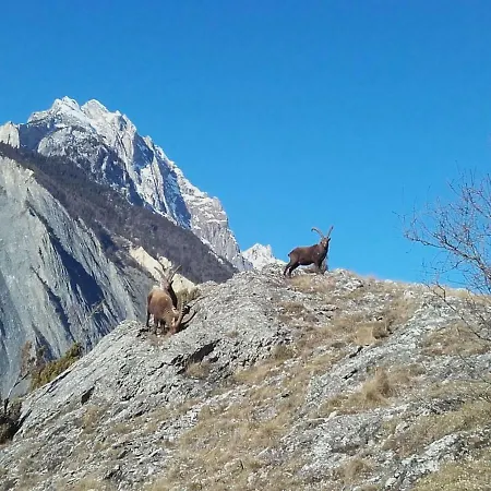 Location Vacances Michel De Maurienne 